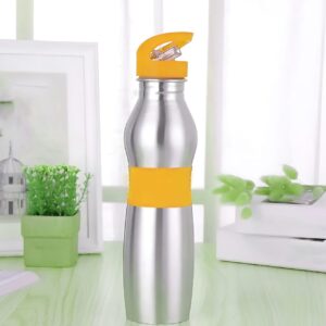 Stainless Steel Water Bottle 750 ML