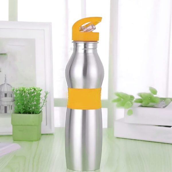 Stainless Steel Water Bottle 750 ML